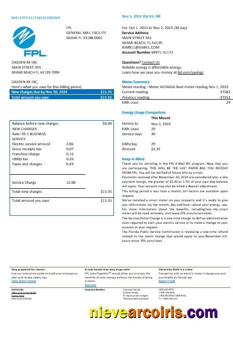 USA Florida FPL electricity business utility bill, version 2